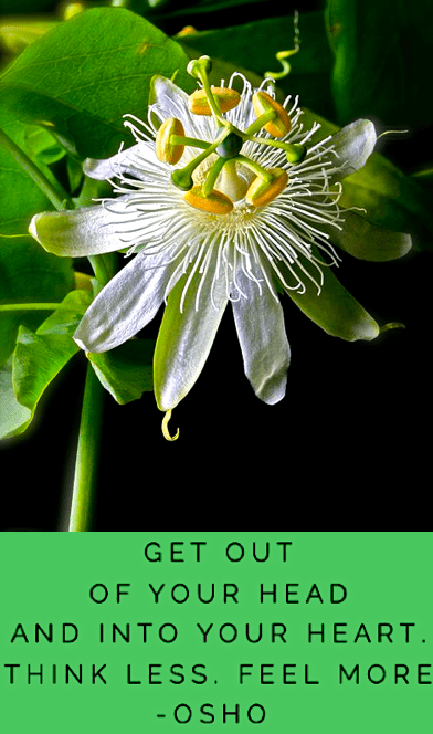 Screen Shot 2018-01-03 at 10.46.47 PM.png