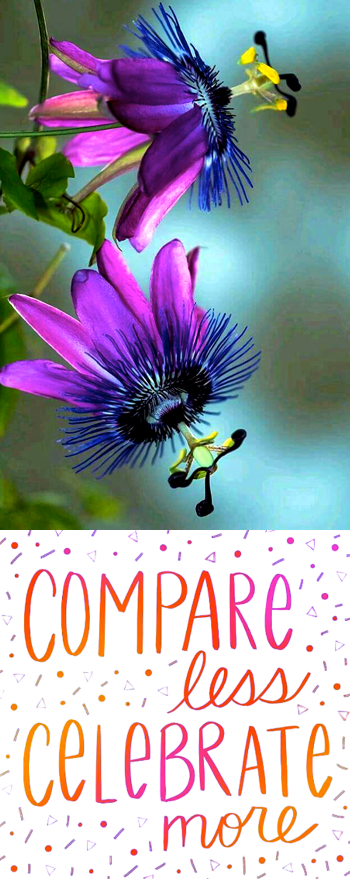 Screen Shot 2018-01-03 at 10.48.42 PM.png