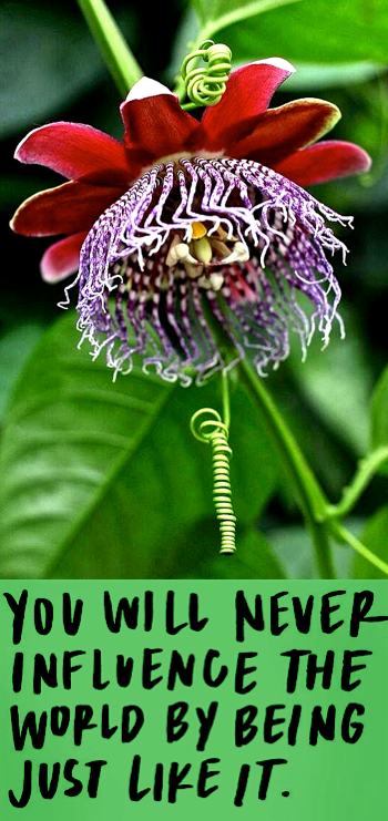 Screen Shot 2018-01-03 at 10.56.14 PM.png