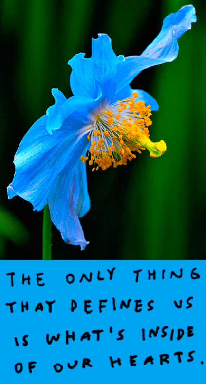 Screen Shot 2018-01-03 at 11.01.26 PM.png