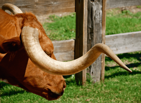 Screen Shot 2018-01-03 at 9.59.48 PM.png