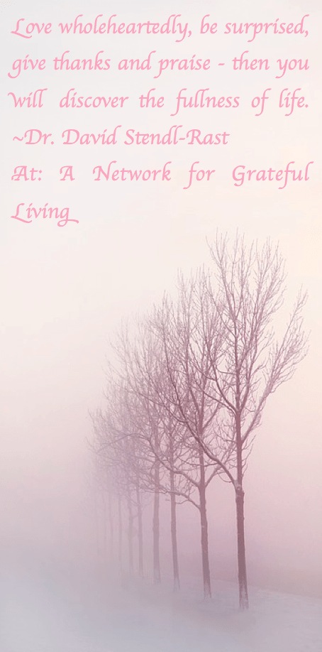 Screen Shot 2018-01-05 at 10.06.44 PM.png