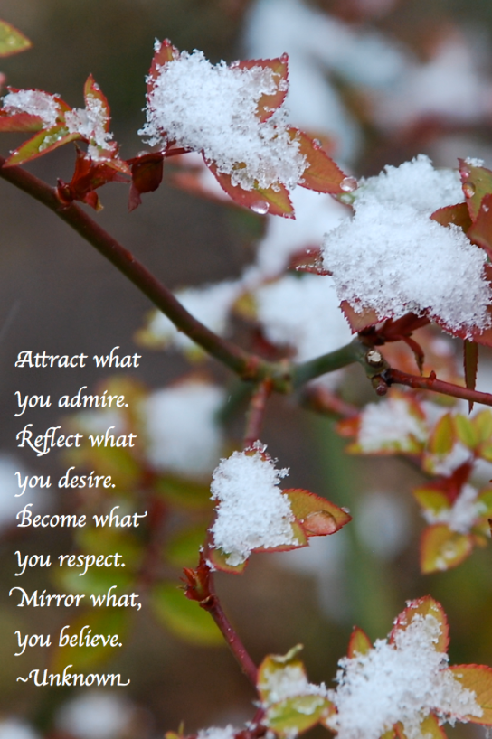 Screen Shot 2018-01-05 at 10.43.12 PM.png