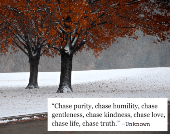 Screen Shot 2018-01-05 at 10.48.50 PM.png