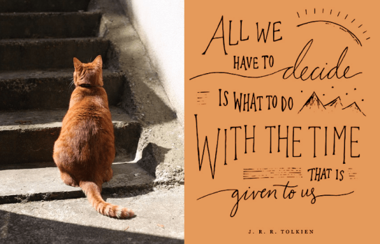 Screen Shot 2018-01-07 at 10.29.15 PM.png