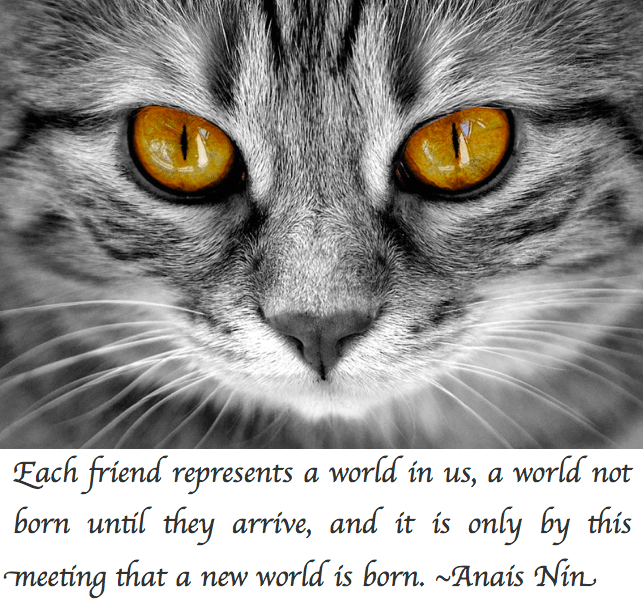 Screen Shot 2018-01-12 at 11.12.23 PM.png