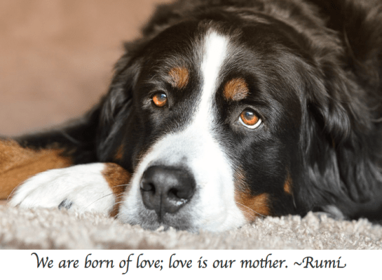 Screen Shot 2018-01-12 at 11.17.05 PM.png