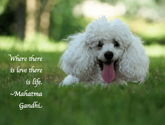 Screen Shot 2018-01-12 at 11.23.20 PM.png