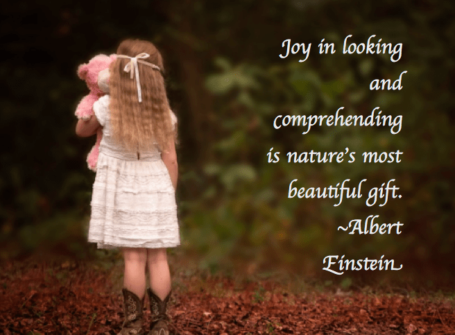 Screen Shot 2018-01-13 at 10.27.37 PM.png