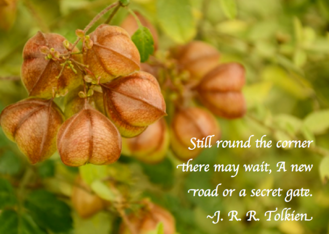 Screen Shot 2018-01-13 at 10.40.19 PM.png