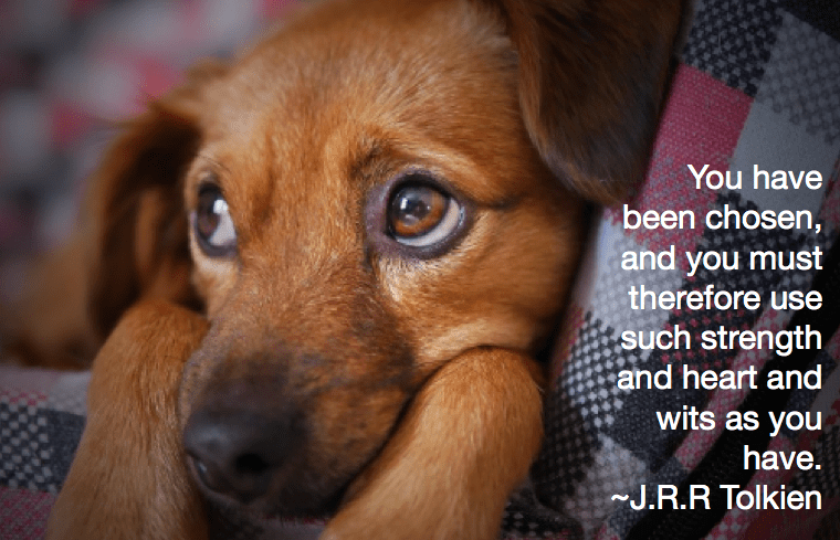 Screen Shot 2018-01-13 at 10.43.53 PM.png