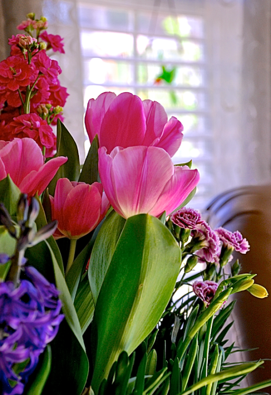 Screen Shot 2018-01-14 at 5.10.52 PM.png