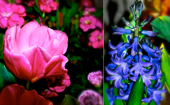 Screen Shot 2018-01-14 at 5.14.09 PM.png