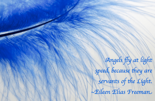 Screen Shot 2018-01-15 at 11.06.21 PM.png