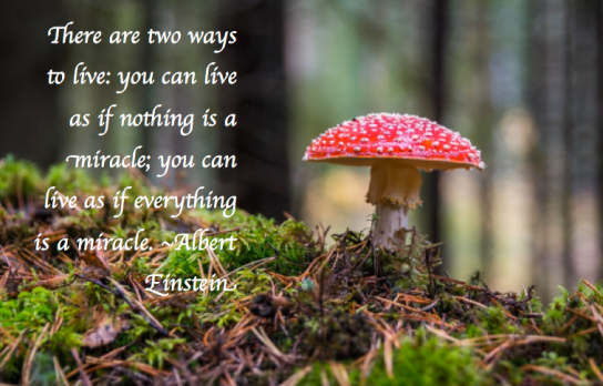 Screen Shot 2018-01-15 at 11.11.27 PM.png