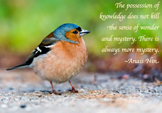 Screen Shot 2018-01-15 at 11.15.19 PM.png