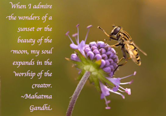 Screen Shot 2018-01-15 at 11.19.14 PM.png