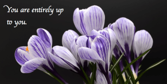 Screen Shot 2018-01-18 at 10.52.39 PM.png