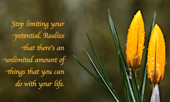 Screen Shot 2018-01-18 at 10.59.28 PM.png