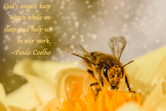 Screen Shot 2018-01-20 at 10.01.34 PM.png