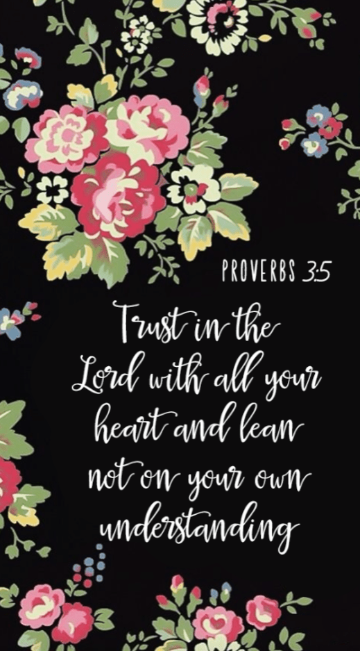 Screen Shot 2018-01-20 at 10.07.05 PM.png