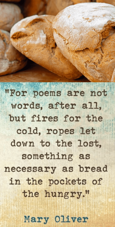 Screen Shot 2018-01-20 at 10.39.39 PM.png