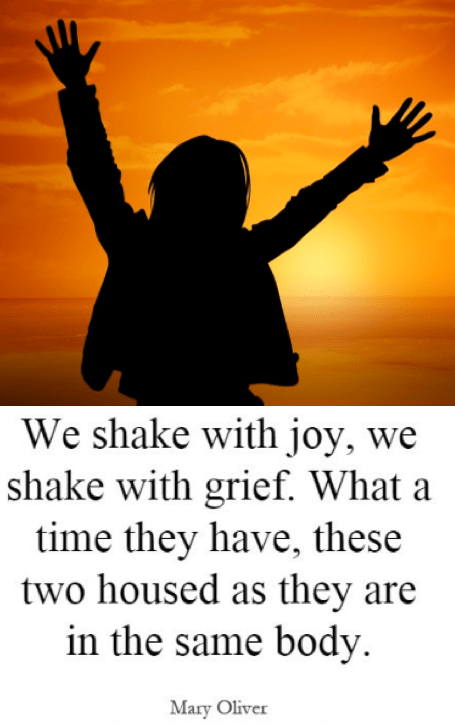 Screen Shot 2018-01-20 at 10.46.43 PM.png