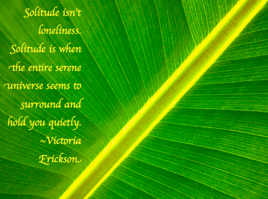 Screen Shot 2018-01-23 at 10.56.56 PM.png