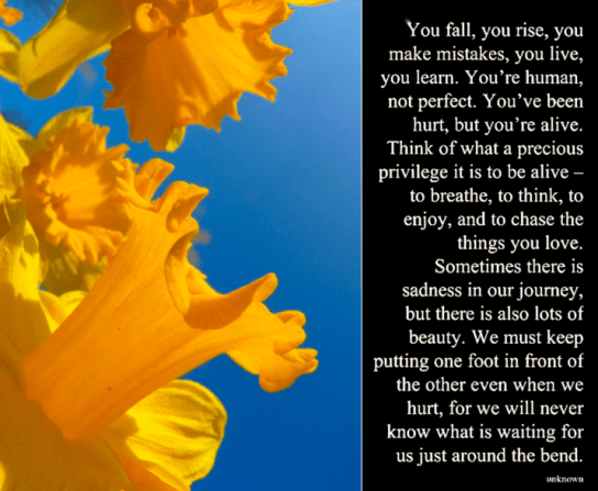 Screen Shot 2018-01-23 at 11.04.28 PM.png