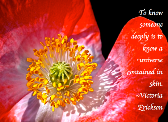 Screen Shot 2018-01-23 at 9.24.19 PM.png