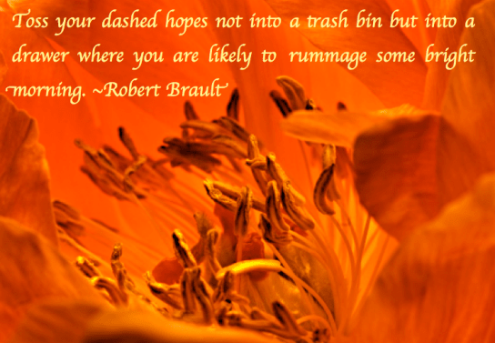 Screen Shot 2018-01-24 at 9.34.25 PM.png