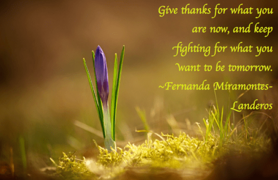 Screen Shot 2018-01-24 at 9.42.23 PM.png