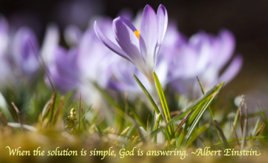 Screen Shot 2018-01-26 at 3.41.44 PM.png