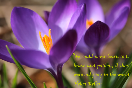 Screen Shot 2018-01-26 at 3.45.07 PM.png