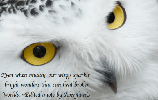 Screen Shot 2018-01-26 at 3.50.35 PM.png