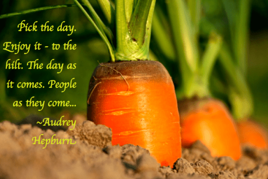 Screen Shot 2018-01-26 at 9.35.56 PM.png