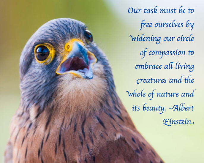 Screen Shot 2018-01-27 at 10.31.11 PM.png