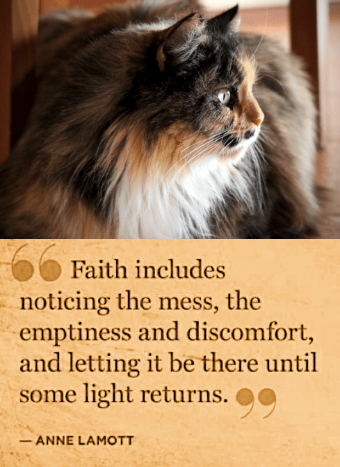 Screen Shot 2018-01-29 at 7.38.23 PM.png