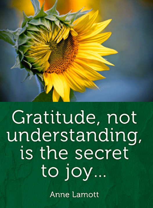 Screen Shot 2018-01-29 at 8.17.02 PM.png