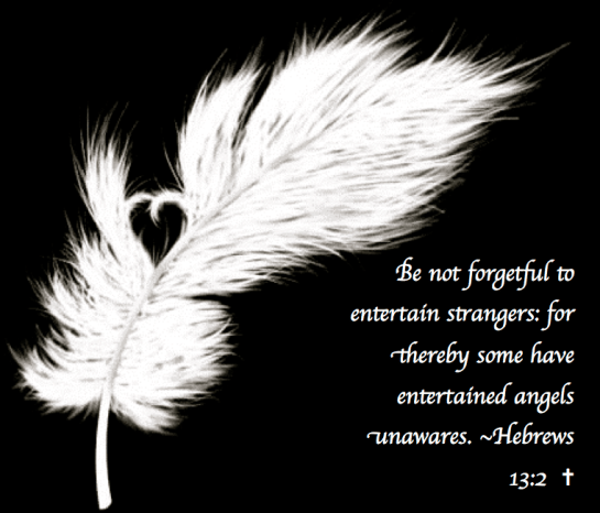 Screen Shot 2018-01-31 at 10.24.32 PM.png