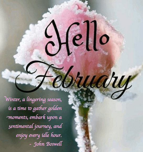 Screen Shot 2018-01-31 at 11.06.00 PM.png