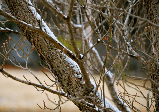 Screen Shot 2018-01-31 at 11.08.57 PM.png