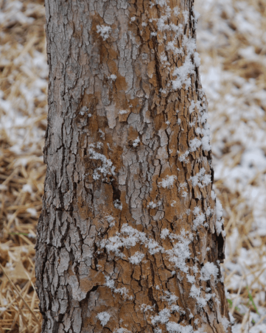 Screen Shot 2018-01-31 at 11.12.17 PM.png