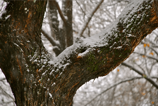 Screen Shot 2018-01-31 at 11.13.00 PM.png