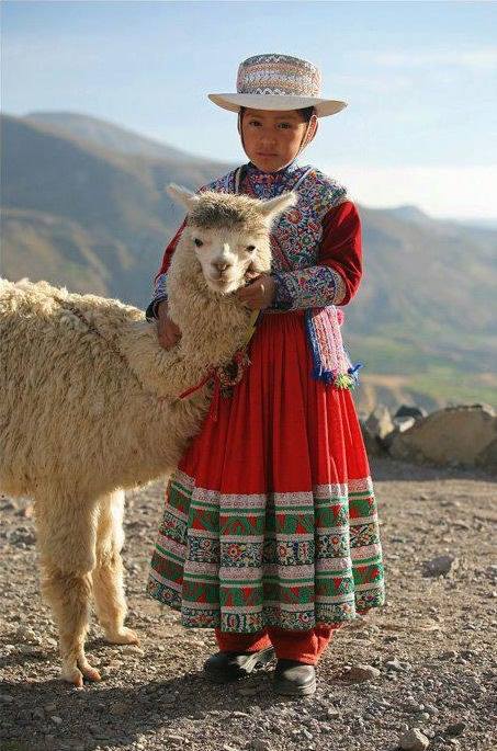 16602823_1183930608390914_8989238761399618185_n