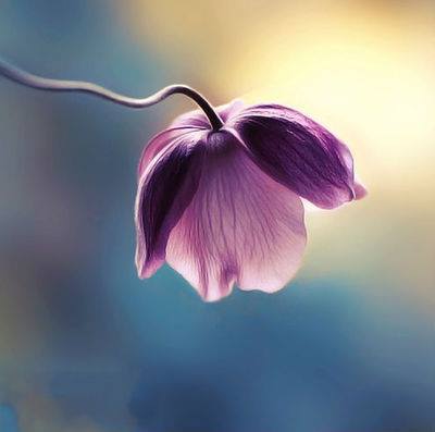 18700106_1079699638837693_1935814756487493408_n