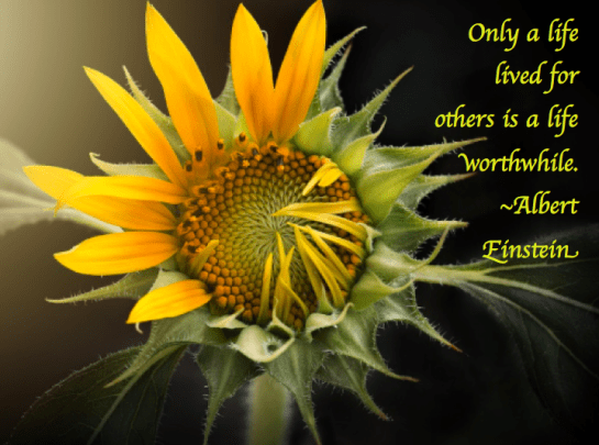 Screen Shot 2018-02-01 at 10.48.35 PM.png