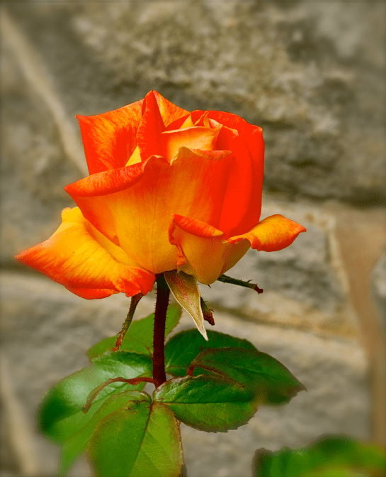 Screen Shot 2018-02-01 at 9.22.39 PM.png