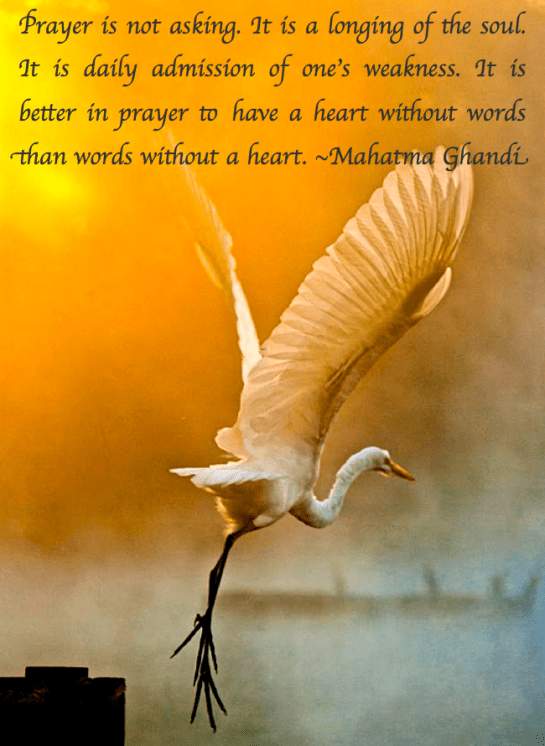 Screen Shot 2018-02-03 at 11.18.08 PM.png