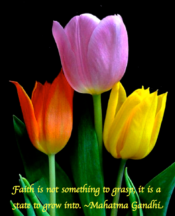 Screen Shot 2018-02-03 at 11.19.59 PM.png